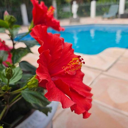 Les Jardins Du Patriarche Hotel Agde Bagian luar foto