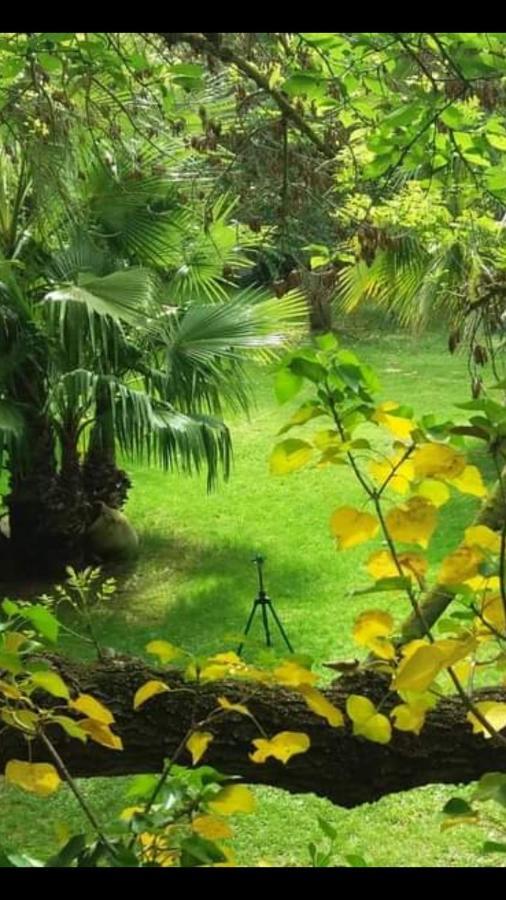 Les Jardins Du Patriarche Hotel Agde Bagian luar foto