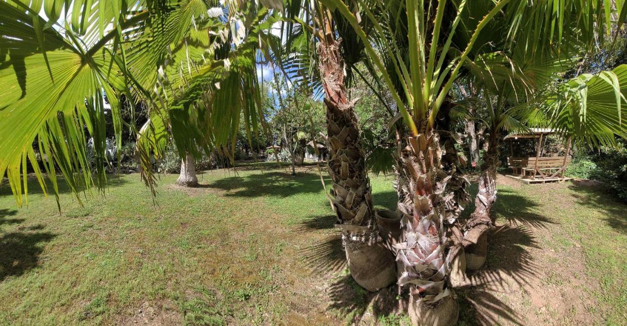 Les Jardins Du Patriarche Hotel Agde Bagian luar foto