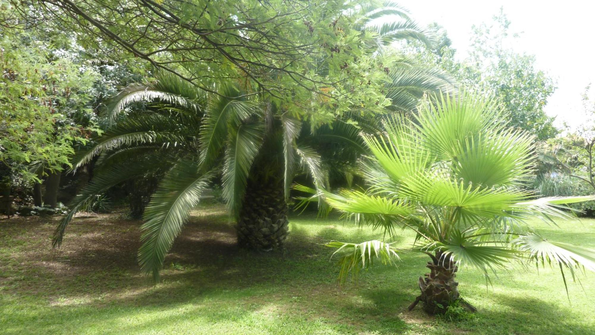 Les Jardins Du Patriarche Hotel Agde Bagian luar foto