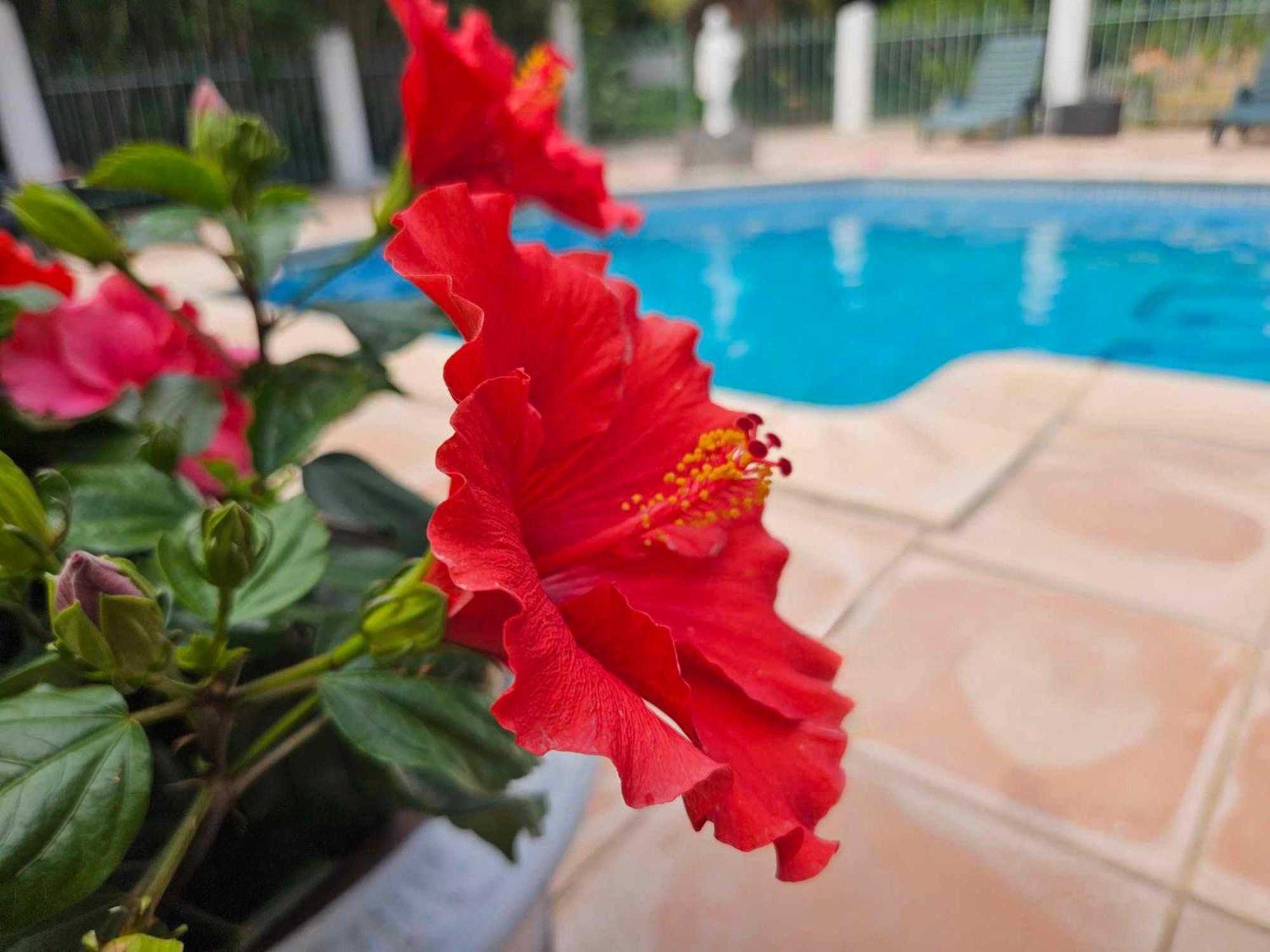 Les Jardins Du Patriarche Hotel Agde Bagian luar foto
