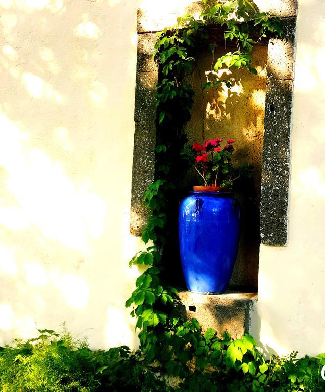 Les Jardins Du Patriarche Hotel Agde Bagian luar foto
