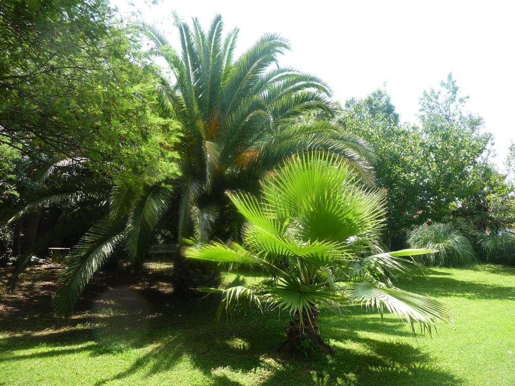 Les Jardins Du Patriarche Hotel Agde Bagian luar foto